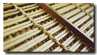 [Thatching]