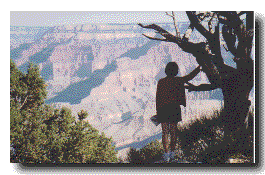 [Grand Canyon]